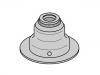 Valve Stem Seal:06 42 501