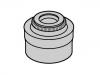 Valve Stem Seal:6 166 533